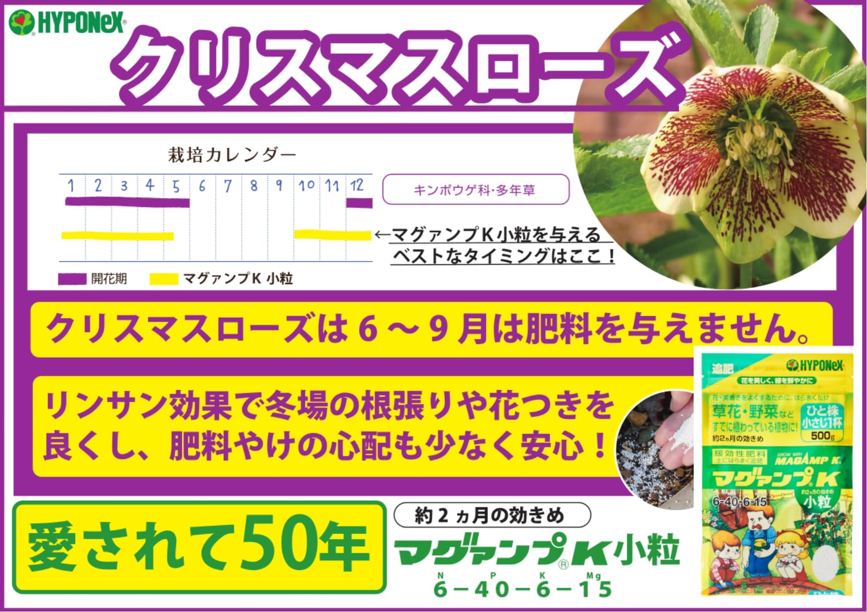 ハイポネックス　マグァンプＫ小粒 容量500G ハイポネックスジャパン 園芸用品・除草剤