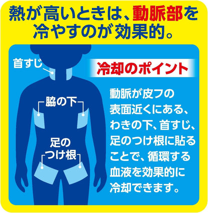 アイスノン　冷却シート　大判サイズ　１０枚入 容量10マイ 白元アース 熱中症・冷却