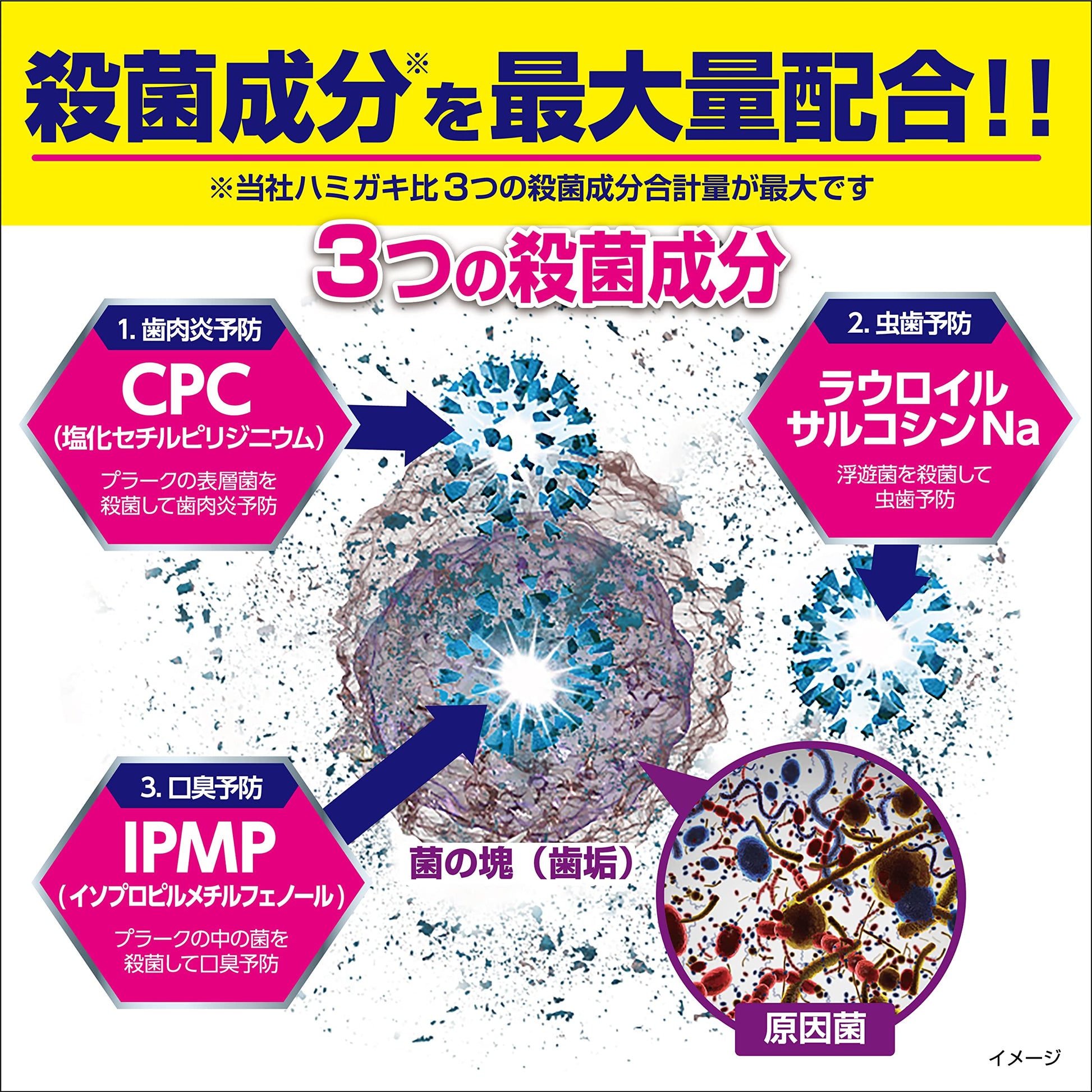 ゼローラ　マイルドミント　９０Ｇ 容量90G 小林製薬 歯磨き