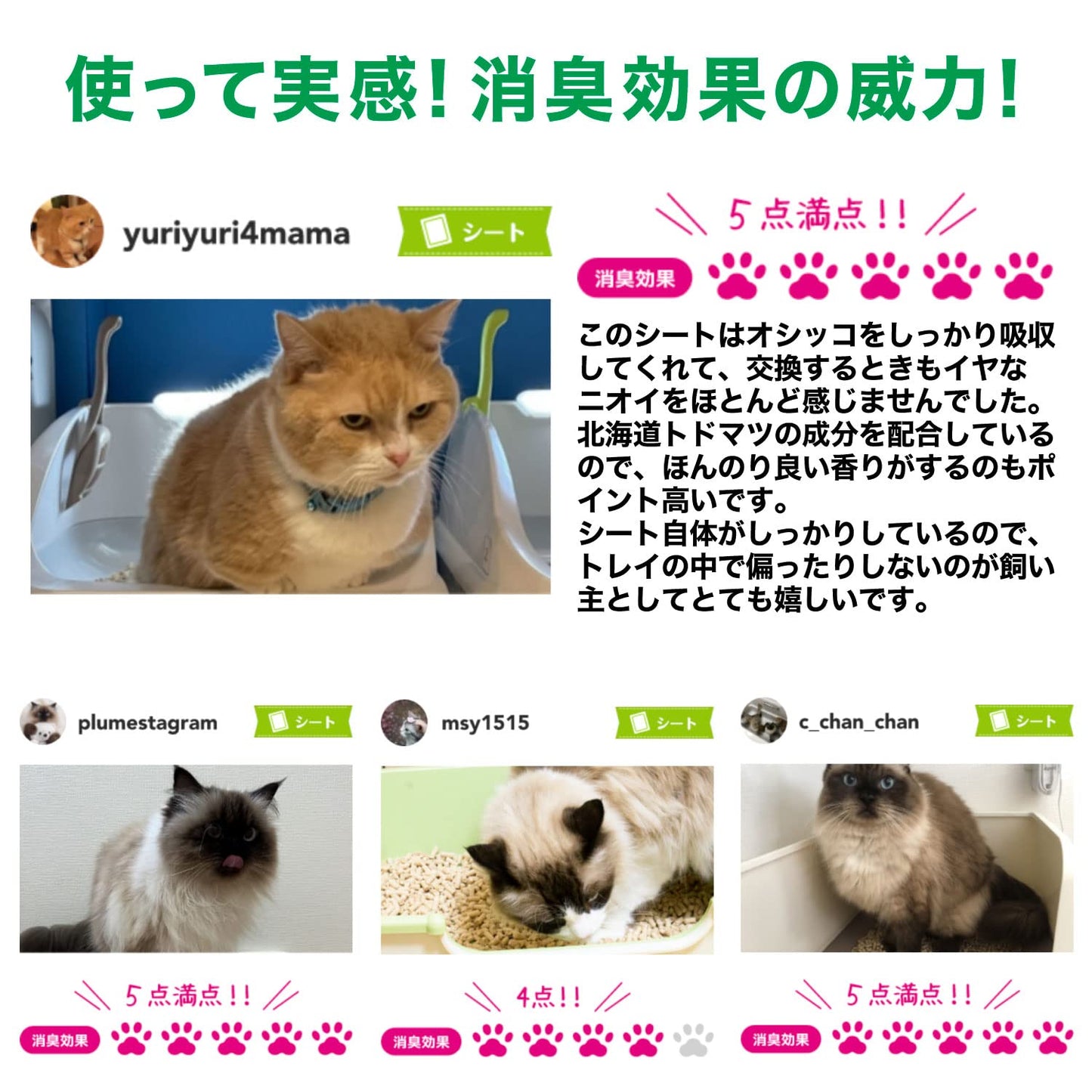 エステーペット　実感消臭シート　猫用システムトイレ　１０枚 容量10ﾏｲ エステー ペット用品