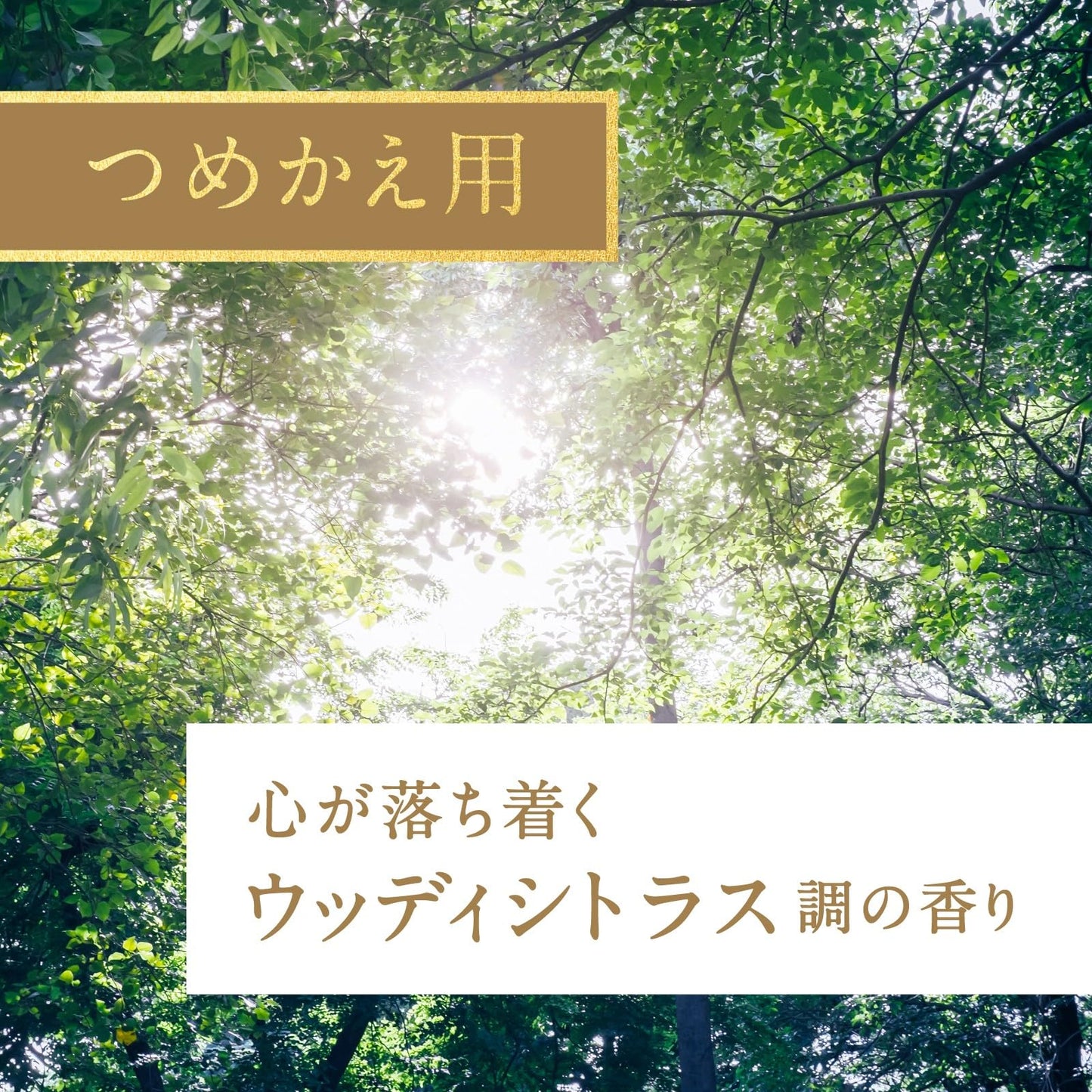 Ｓｕｋｋｉ－ｒｉ！ＣＯＲＫ＋ＳＴＩＣＫ－Ｐｕｒｉｔｕｒｅ－「木漏れ日の中で」替え 容量100MLアース製薬
