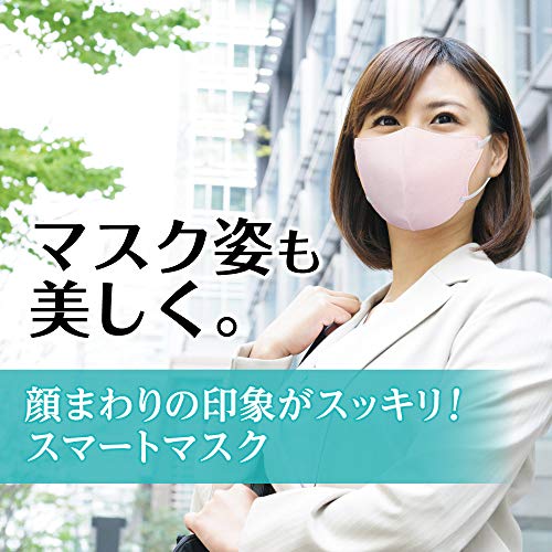 ビースタイル 立体タイプ ふつうサイズ ドーリーピンク5枚入 容量5枚×10点セット 白元アース マスク