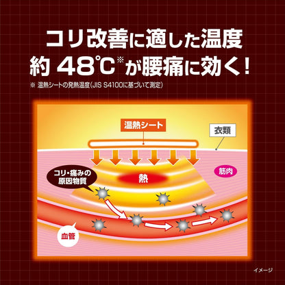 血流改善腰ホットン５Ｐ 容量5ﾏｲ 小林製薬 カイロ