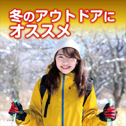 桐灰カイロくつ用　敷くつま先　ベージュ１５Ｐ 容量15ｿｸ 小林製薬 カイロ