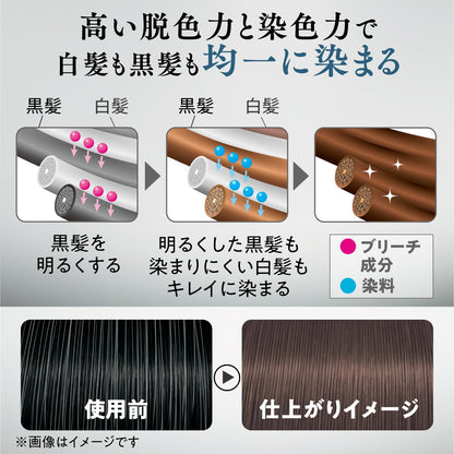 ルシード　デザインヘアカラー　クールアッシュ　（医薬部外品） 容量1クミ マンダム ヘアカラー