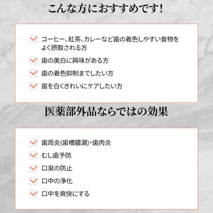 リーチクライデン　クラシックミントの香り 容量130G 銀座ステファニー 歯磨き