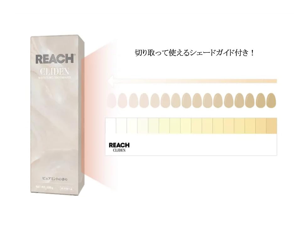 リーチクライデン　クラシックミントの香り 容量130G 銀座ステファニー 歯磨き