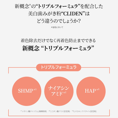 リーチクライデン　ピュアミントの香り 容量130G 銀座ステファニー 歯磨き