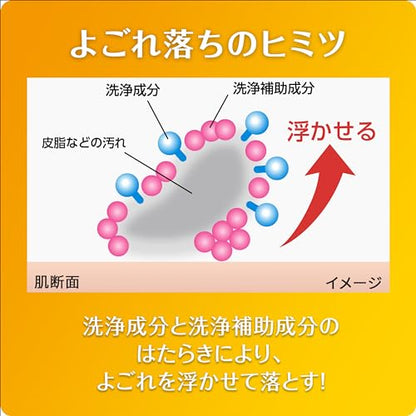 ケアナボン　ひたし洗い液　３００ｍｌ 容量300ML 小林製薬 洗顔・クレンジング