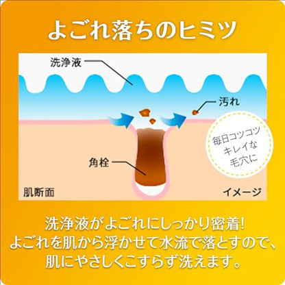 ケアナボン　ひたし洗い液　３００ｍｌ 容量300ML 小林製薬 洗顔・クレンジング