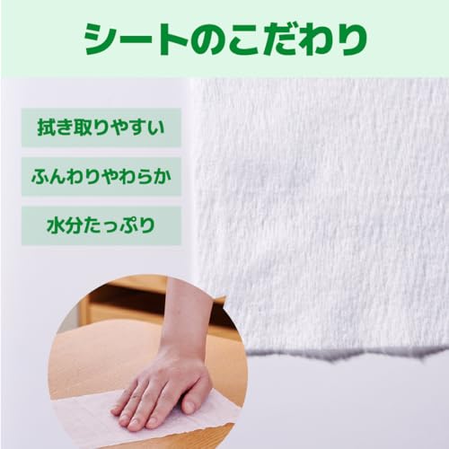 エリエール除菌できるノンアルコールタオル詰替え４２枚１０Ｐ 容量420ﾏｲ大王製紙 ウェットティッシュ