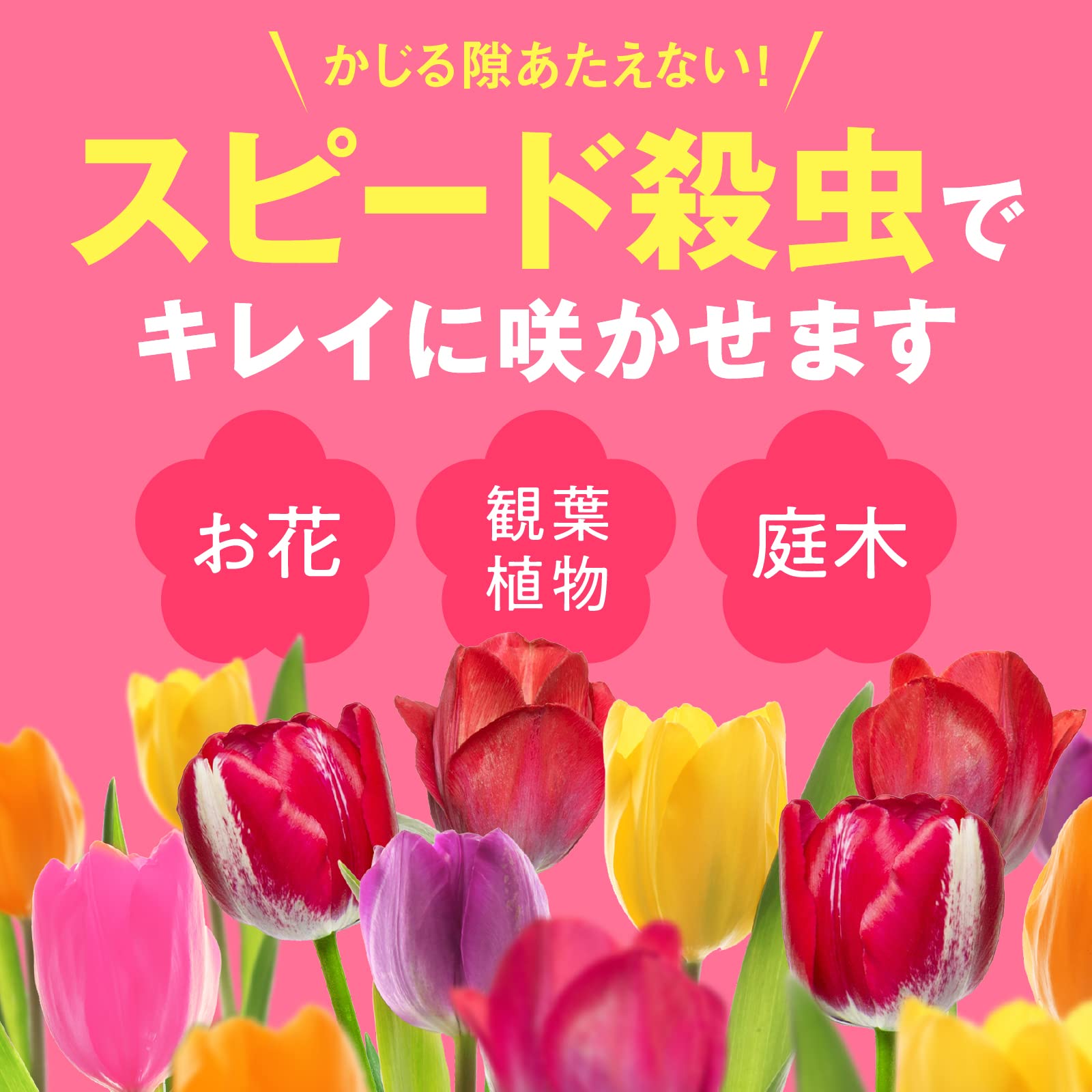 アースガーデン　花いとし　エコパック　８５０ｍＬ 容量850ML アース製薬 園芸用品・殺虫剤