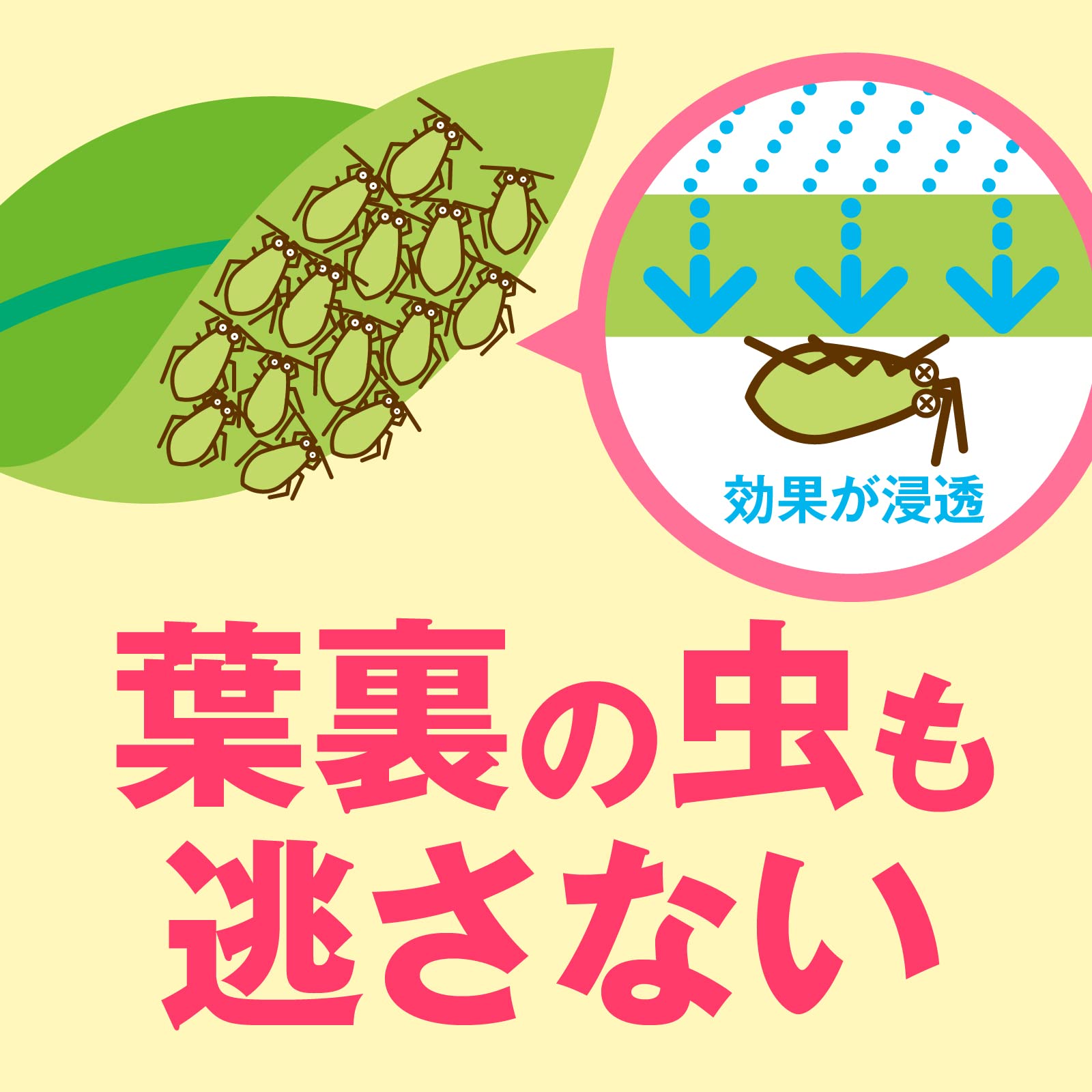 アースガーデン　花いとし　エコパック　８５０ｍＬ 容量850ML アース製薬 園芸用品・殺虫剤