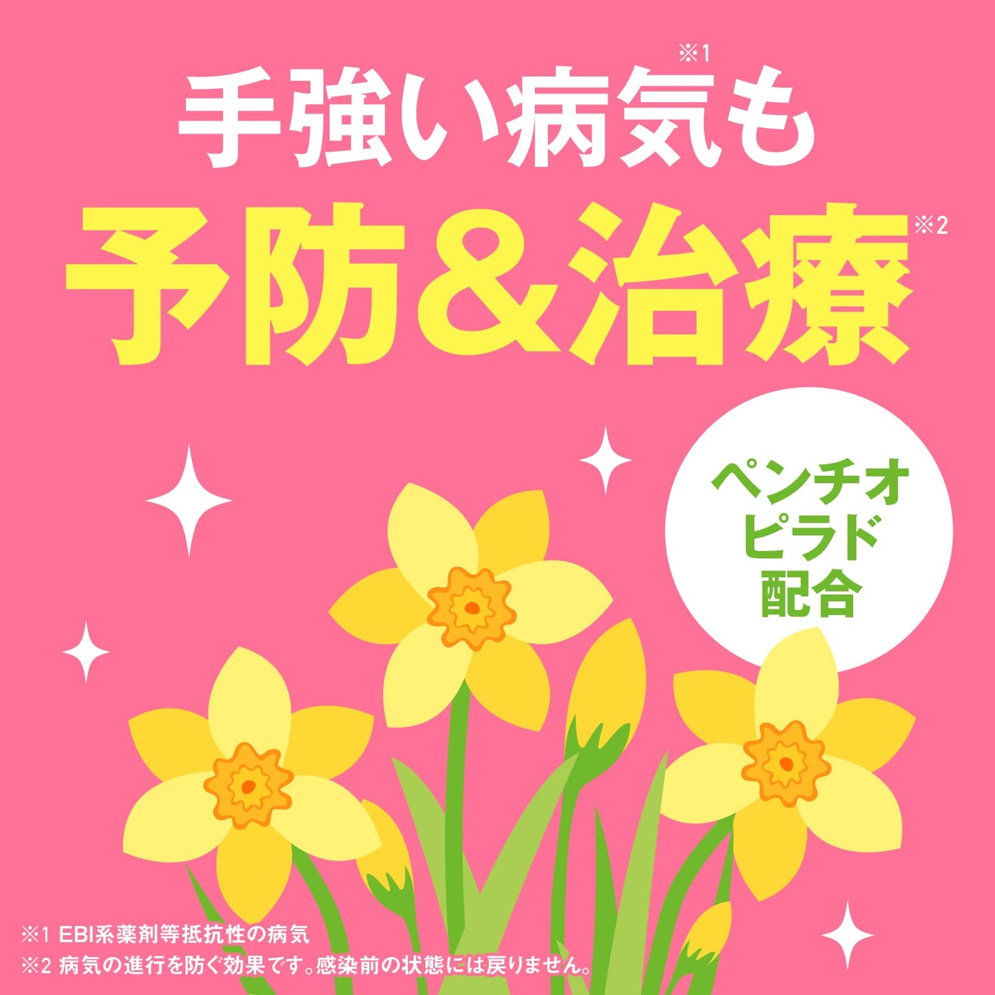 アースガーデン　花いとし　エコパック　８５０ｍＬ 容量850ML アース製薬 園芸用品・殺虫剤