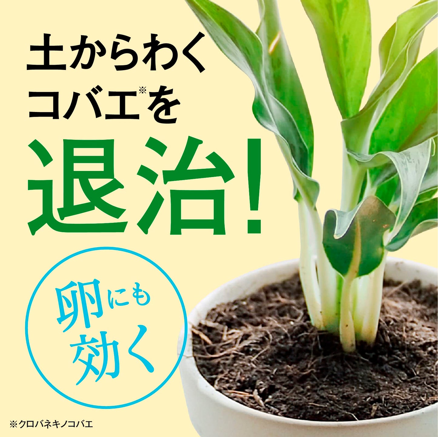 ＢｏｔａＮｉｃｅ　植物の虫・病気対策　エコパック　４５０ｍＬ 容量450MLアース製薬 園芸用品・殺虫剤