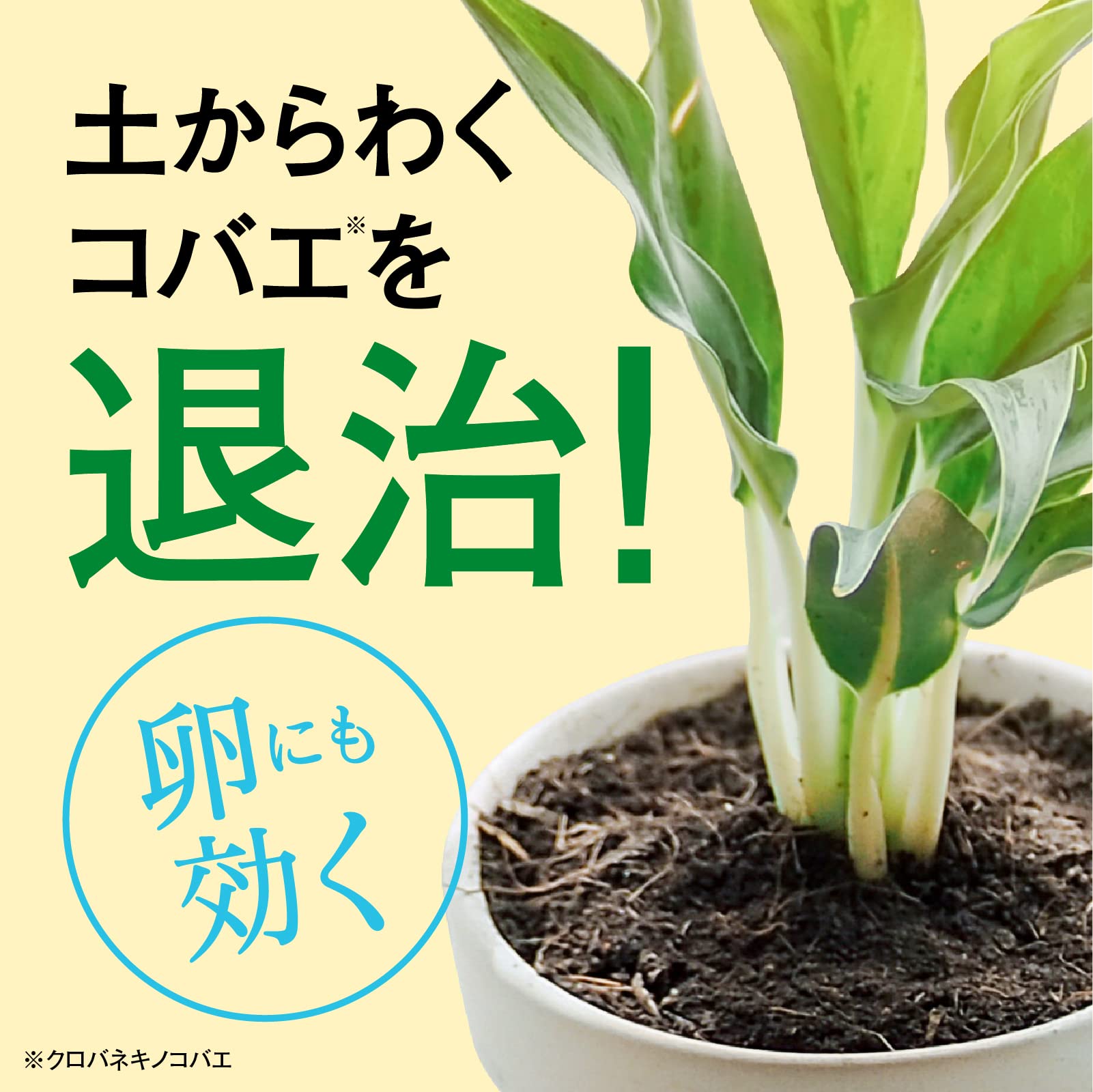 ＢｏｔａＮｉｃｅ　植物の虫・病気対策　エコパック　４５０ｍＬ 容量450MLアース製薬 園芸用品・殺虫剤