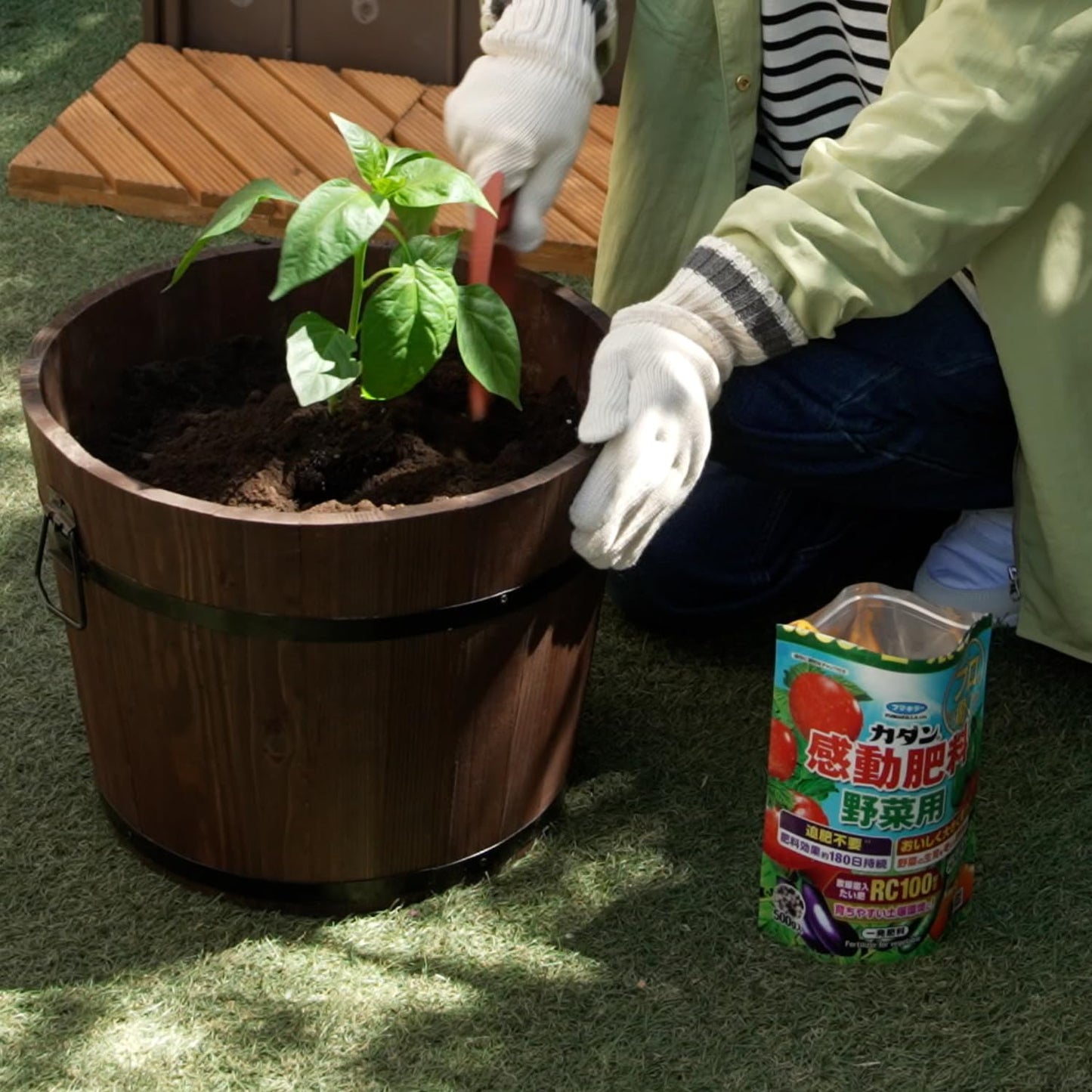 カダン感動肥料野菜用５００ｇ 容量500G フマキラー 園芸用品・除草剤