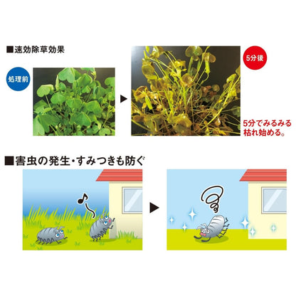 カダン虫よけ除草王２Ｌ 容量2L フマキラー 園芸用品・除草剤