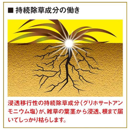 カダン根まで枯らす虫よけ除草王プレミアム１Ｌ 容量1L フマキラー 園芸用品・除草剤