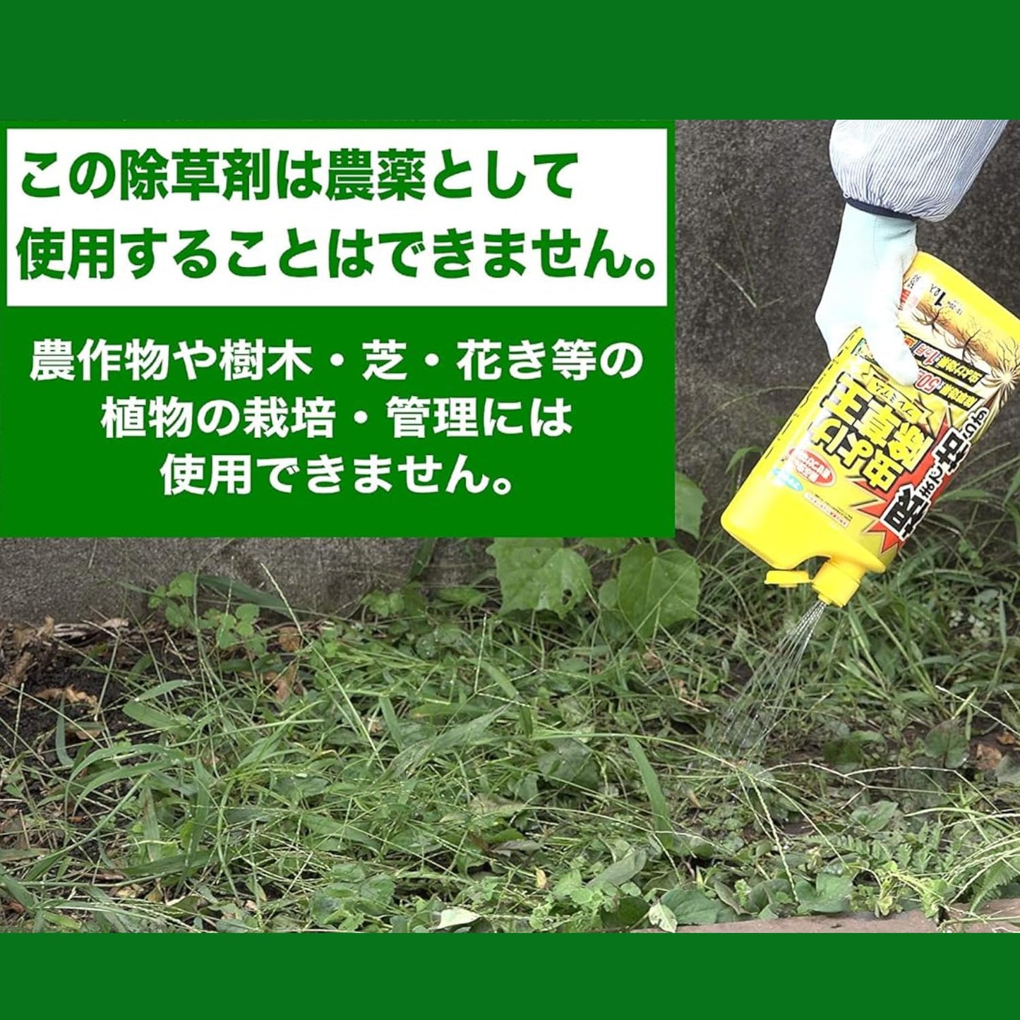 カダン根まで枯らす虫よけ除草王プレミアム４．８Ｌ 容量4800L フマキラー 園芸用品・除草剤