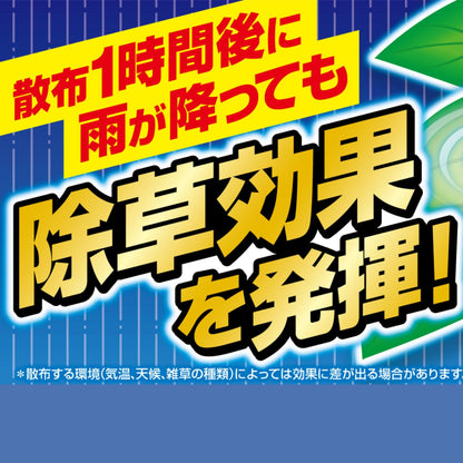 カダン除草王ザッソージエース１Ｌ 容量1L フマキラー 園芸用品・除草剤