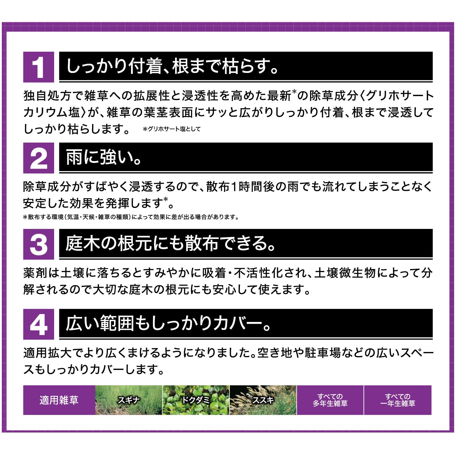 カダン除草王ザッソージエース１Ｌ 容量1L フマキラー 園芸用品・除草剤