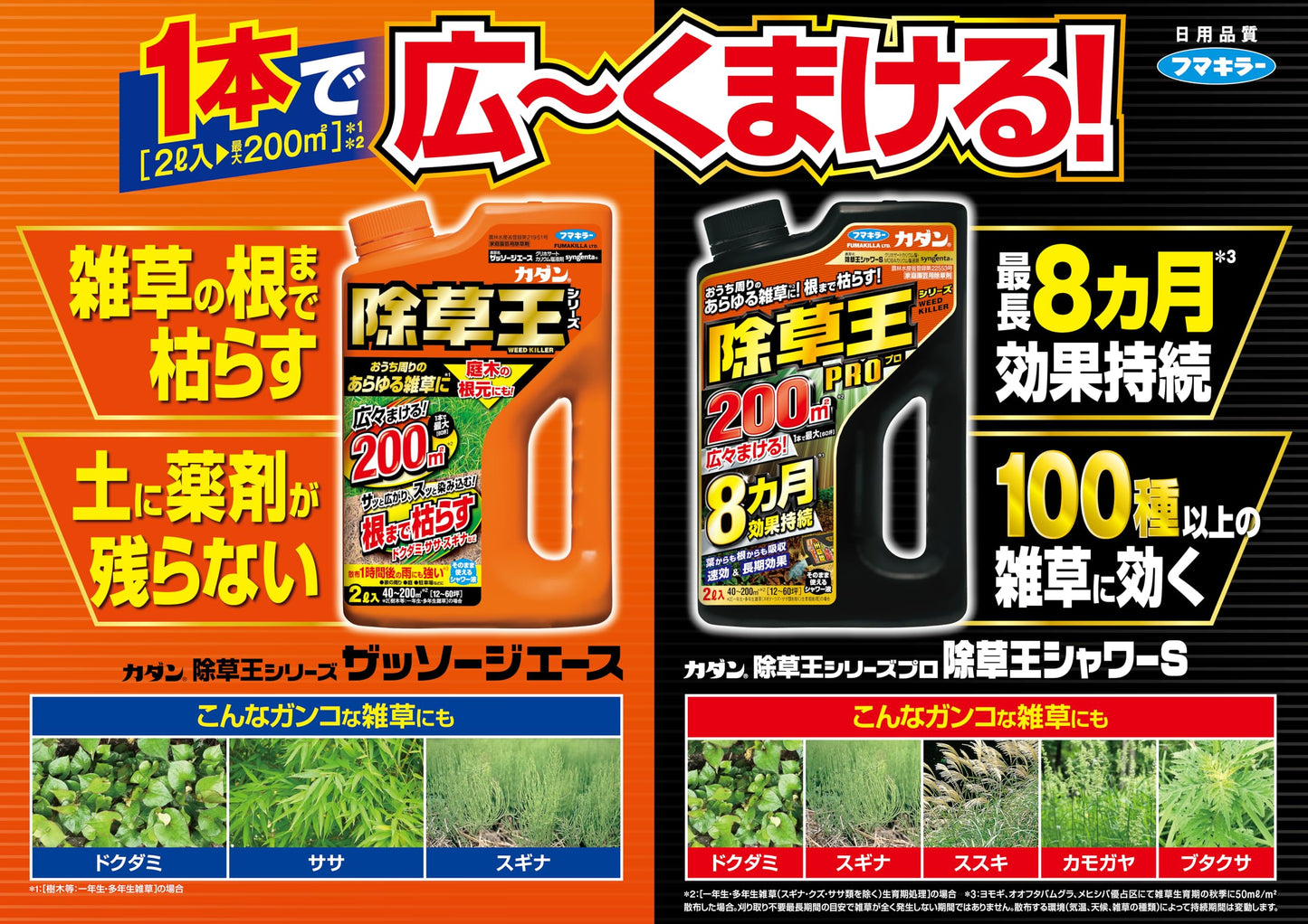 カダン除草王ザッソージエース１Ｌ 容量1L フマキラー 園芸用品・除草剤