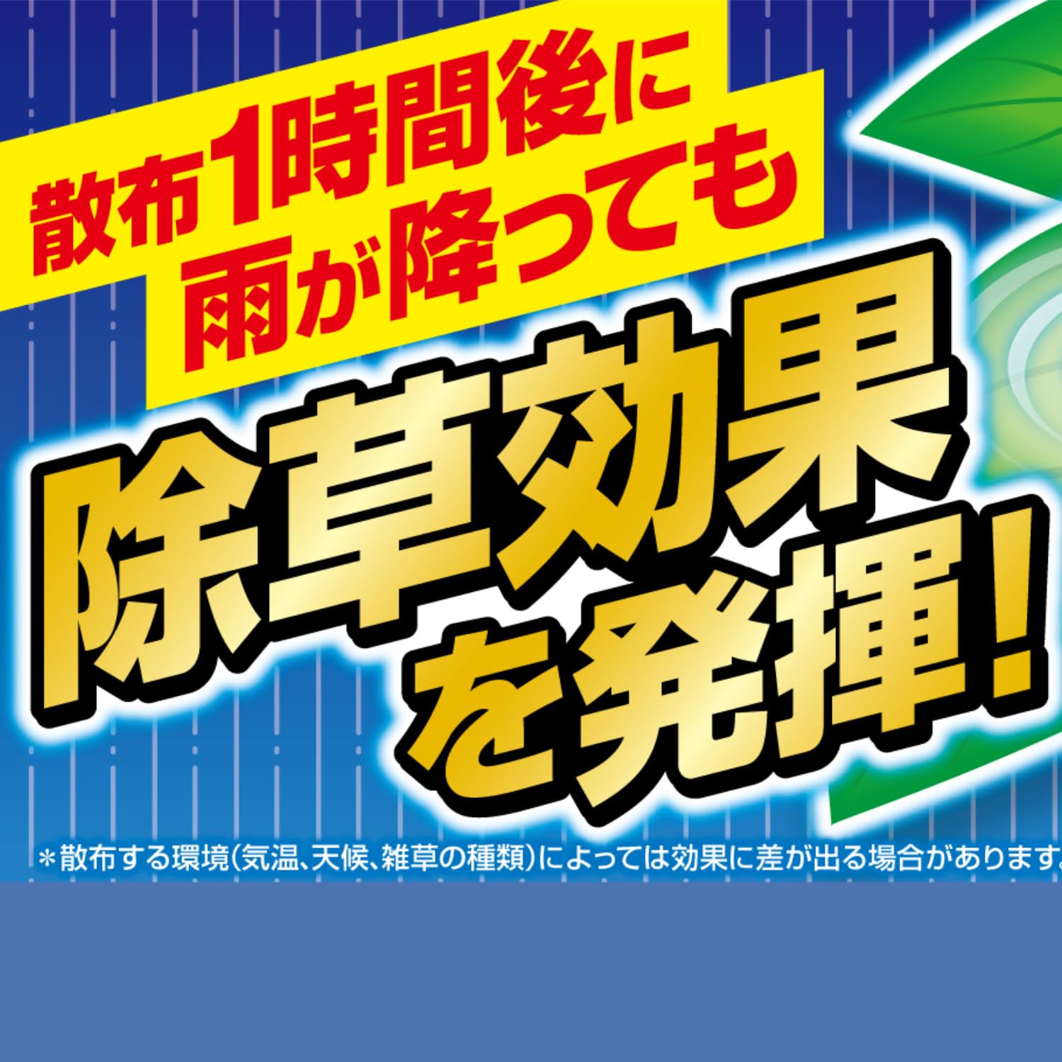 カダン除草王ザッソージエース２Ｌ 容量2L フマキラー 園芸用品・除草剤