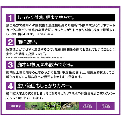 カダン除草王ザッソージエース２Ｌ 容量2L フマキラー 園芸用品・除草剤