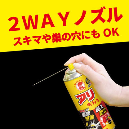 アリキンチョールＶ３００ＭＬ 容量300ML 大日本除虫菊（金鳥） 殺虫剤・アリ