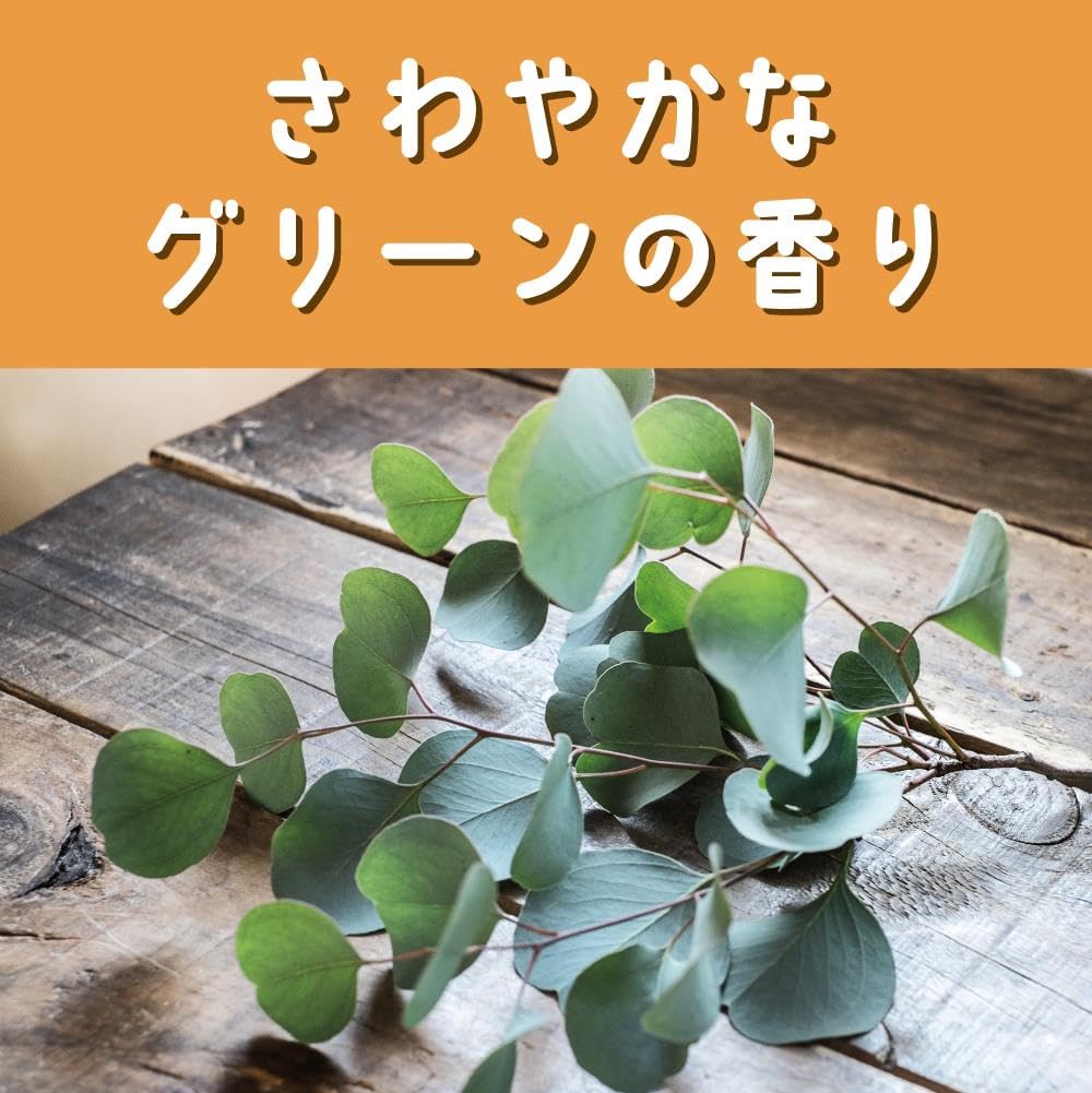 虫よけカオリング大人用　６個入 容量6ｺ 大日本除虫菊（金鳥） 殺虫剤・虫よけ