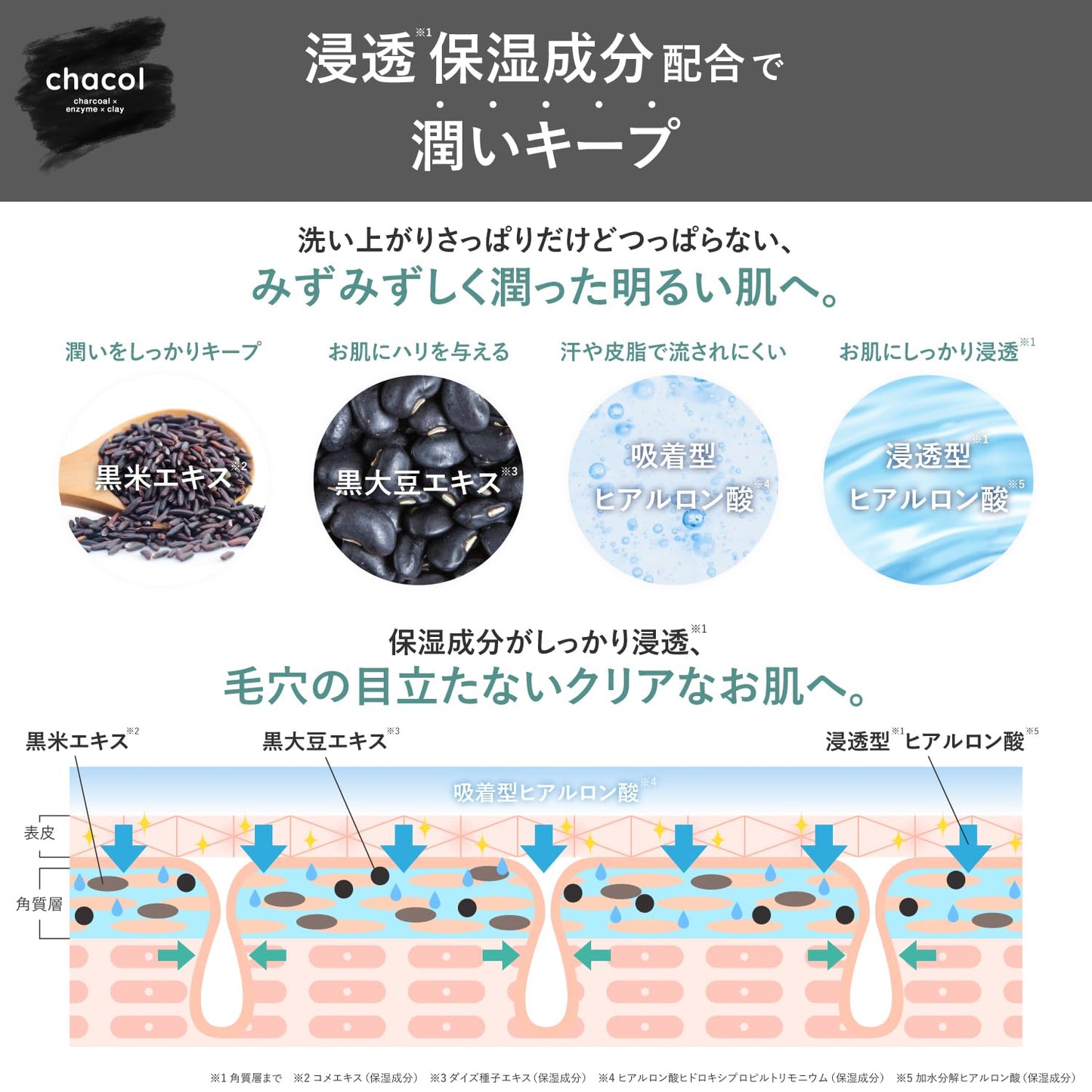 ｃｈａｃｏｌ　炭＆酵素　Ｗクレンジング洗顔フォーム　１３０ｇ 容量130G熊野油脂 洗顔・クレンジング