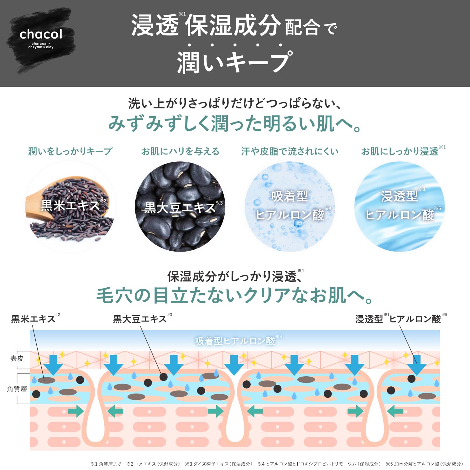 ｃｈａｃｏｌ　炭＆酵素　Ｗクレンジング洗顔フォーム　１３０ｇ 容量130G熊野油脂 洗顔・クレンジング
