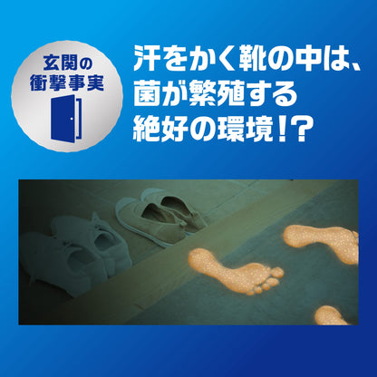 ファブリーズＷ消臭　玄関用消臭剤＋抗菌　ホワイトティー＆シトラス２個パック 容量7ML芳香剤・トイレ用
