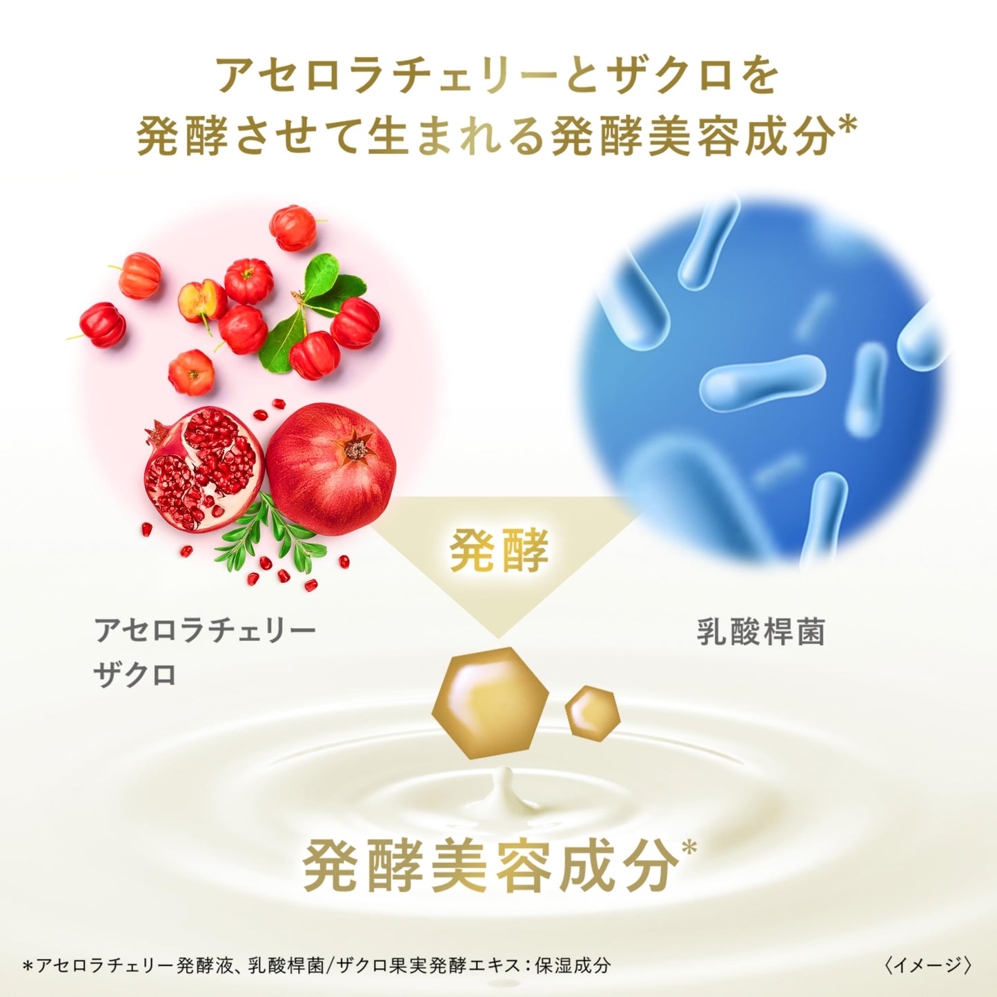ダヴ　ボディウォッシュ　発酵＆ビューティーシリーズ　ツルツル＆もっちり　ポンプ４８０ｇ容量480G