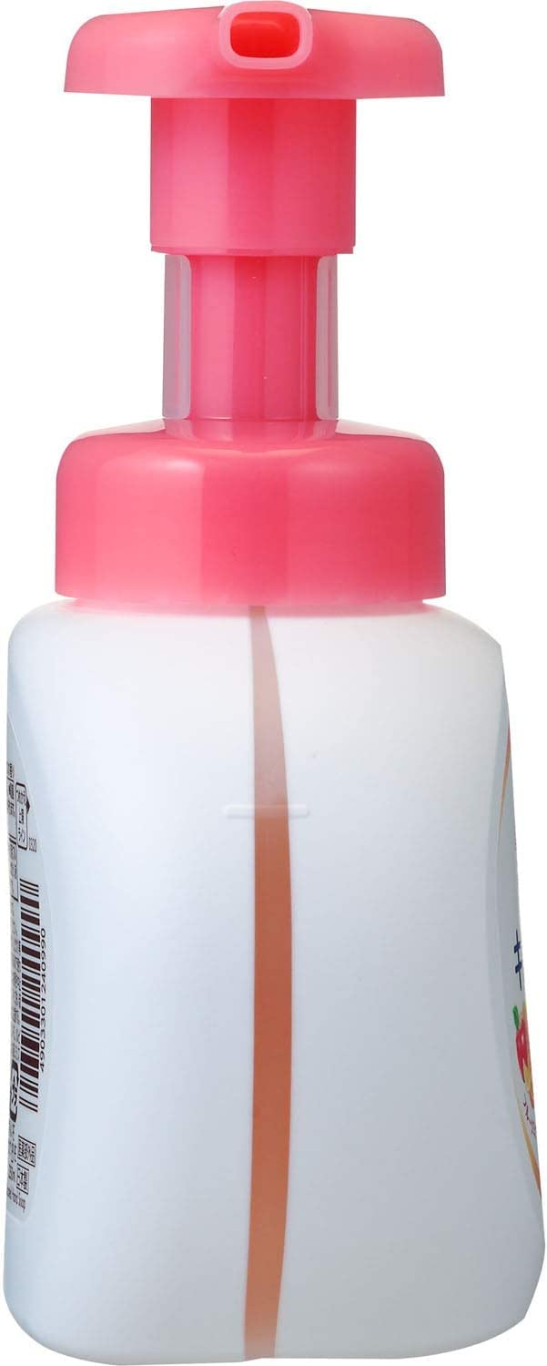 キレイキレイ薬用泡ハンドソープ　フルーツミックス　ポンプ 容量250ML ライオン ハンドソープ