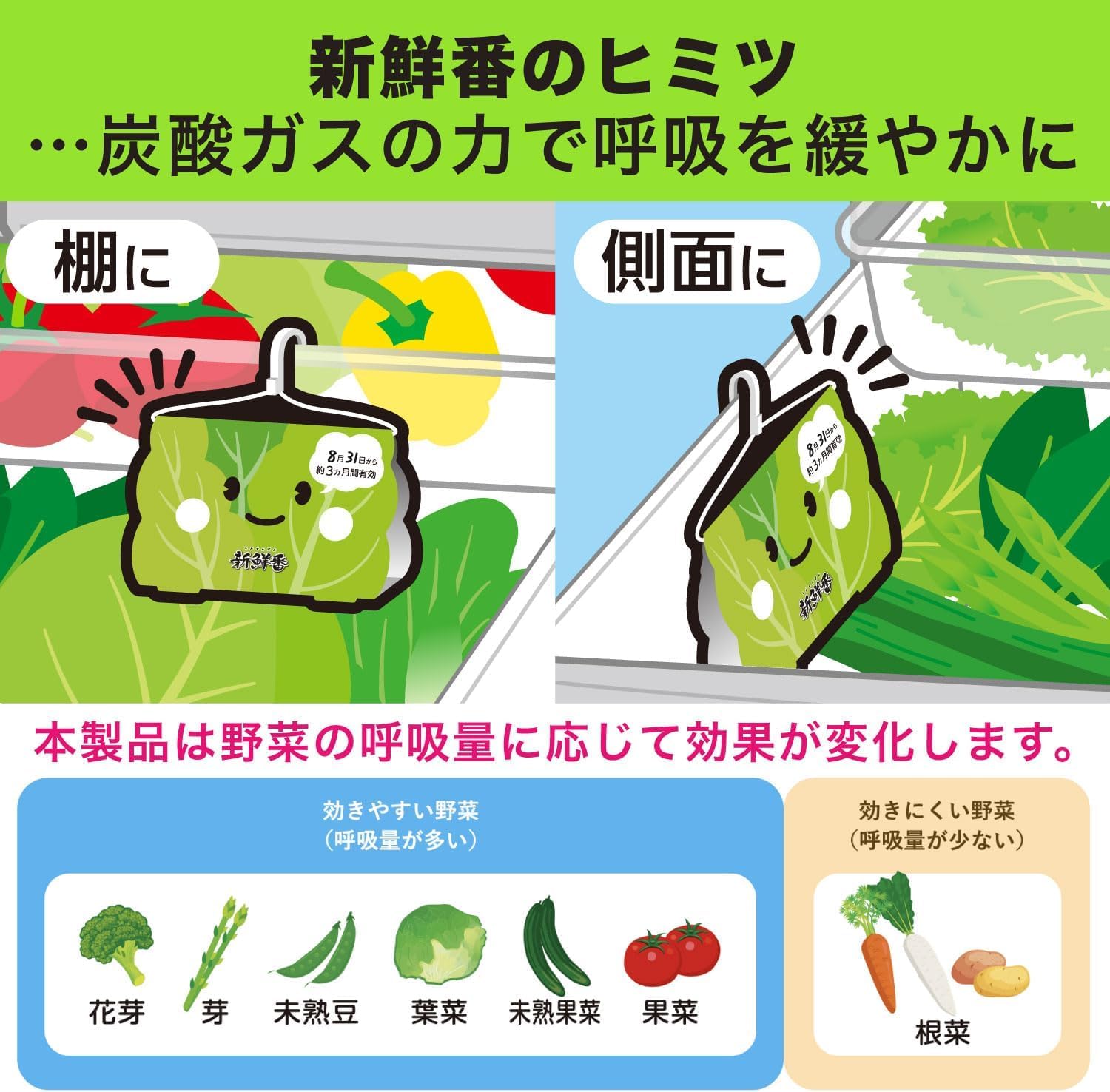 新鮮番 容量1ｺ エステー 台所用品