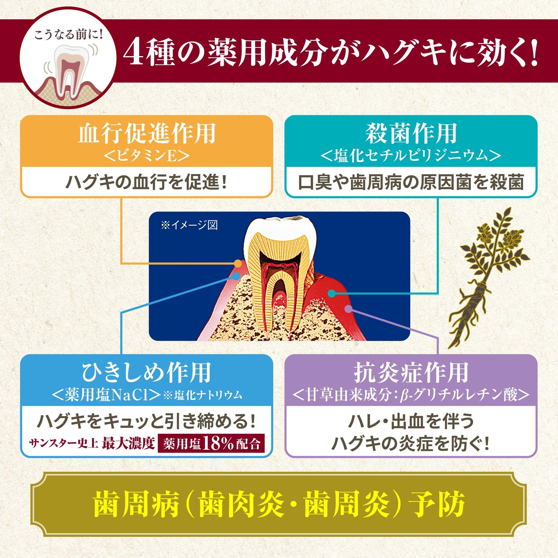 サンスター薬用塩ハミガキ　すっきりハーブタイプ　８５Ｇ 容量85G サンスター 歯磨き