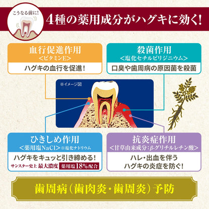 サンスター薬用塩ハミガキ　すっきりハーブタイプ　８５Ｇ 容量85G サンスター 歯磨き