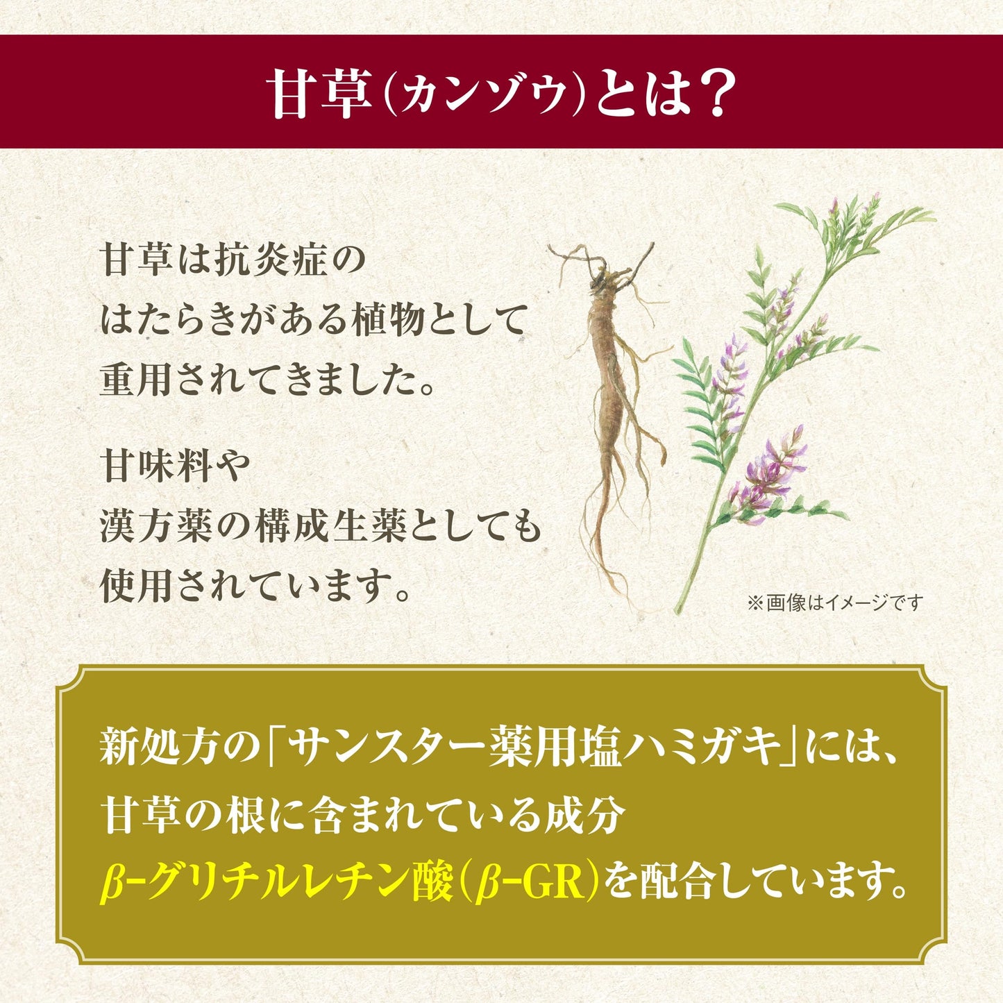 サンスター薬用塩ハミガキ　すっきりハーブタイプ　８５Ｇ 容量85G サンスター 歯磨き