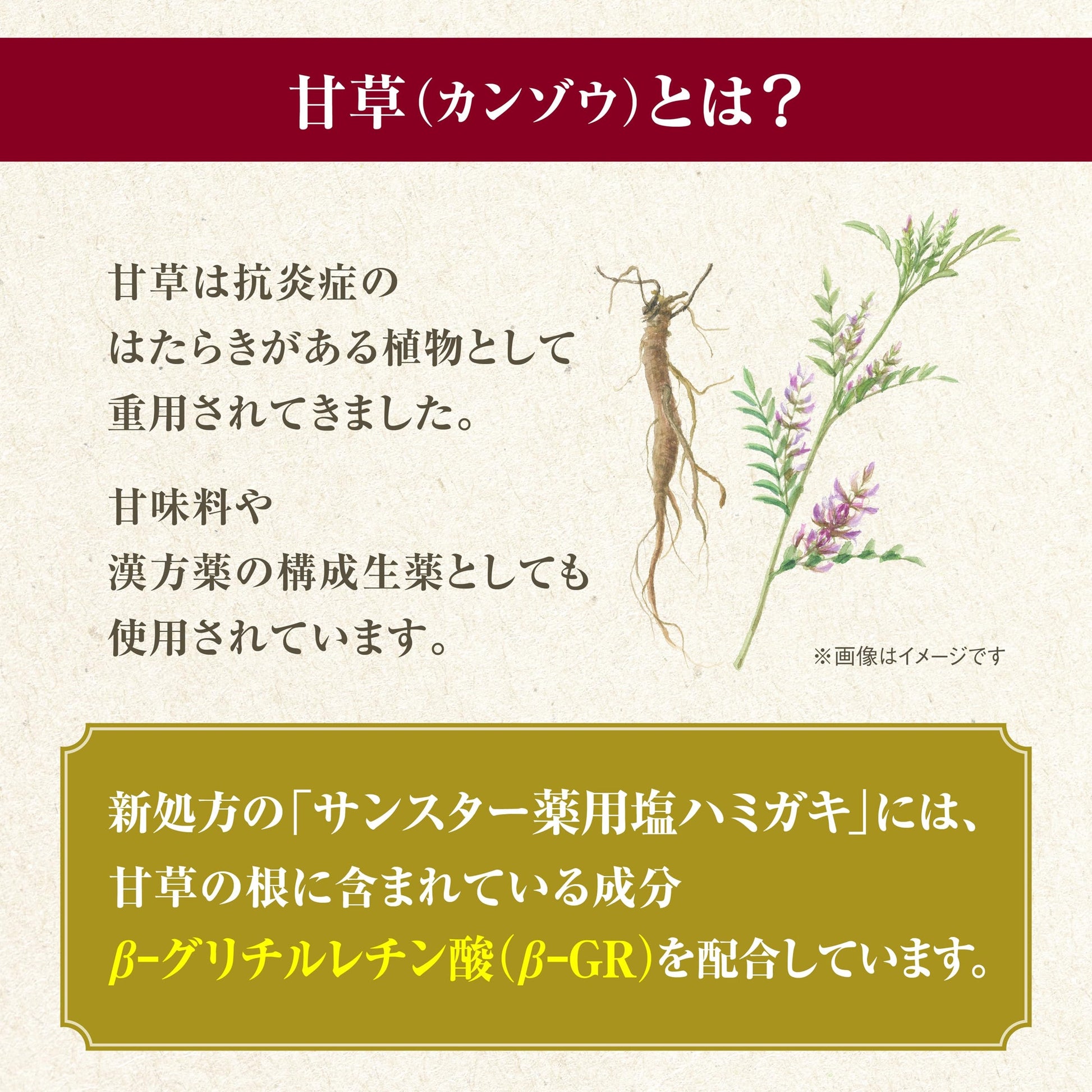 サンスター薬用塩ハミガキ　すっきりハーブタイプ　８５Ｇ 容量85G サンスター 歯磨き