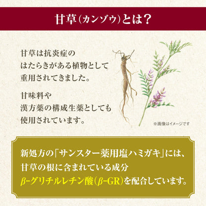 サンスター薬用塩ハミガキ　すっきりハーブタイプ　８５Ｇ 容量85G サンスター 歯磨き