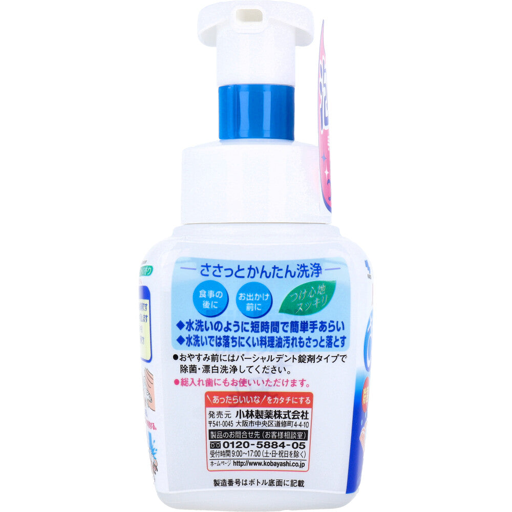 パーシャルデント洗浄フォーム 部分入れ歯用 ミントの香り 250mL - MONOW 公式ショップ