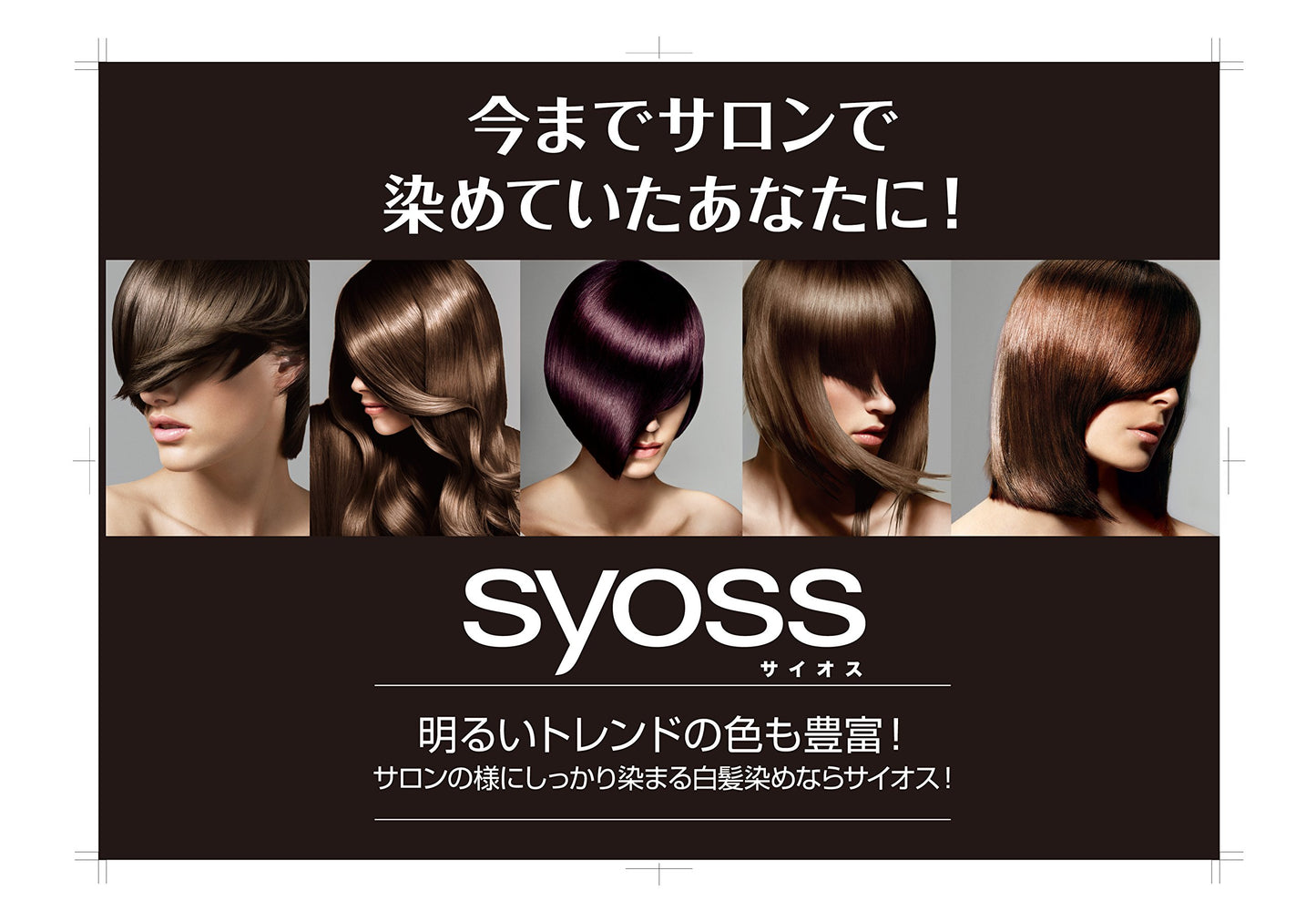 サイオス ヘアカラー クリーム 2Ａ スモーキーベージュ 容量1個ヘアカラー・白髪用 - MONOW 公式ショップ