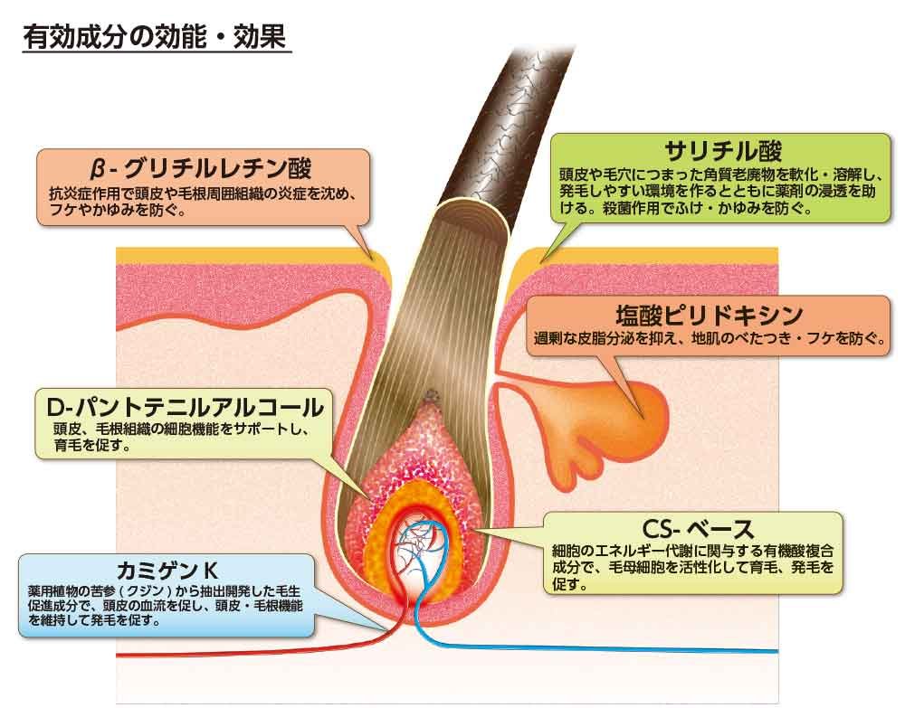 薬用美髪源　無香料 容量150ML 加美乃素本舗 育毛剤・養毛剤 - MONOW 公式ショップ