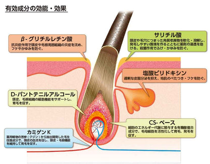 薬用美髪源　無香料 容量150ML 加美乃素本舗 育毛剤・養毛剤 - MONOW 公式ショップ