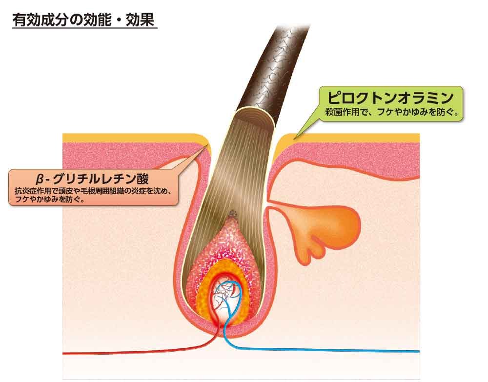 加美乃素薬用シャンプーＢ＆Ｐ 容量300ML 加美乃素本舗 シャンプー - MONOW 公式ショップ