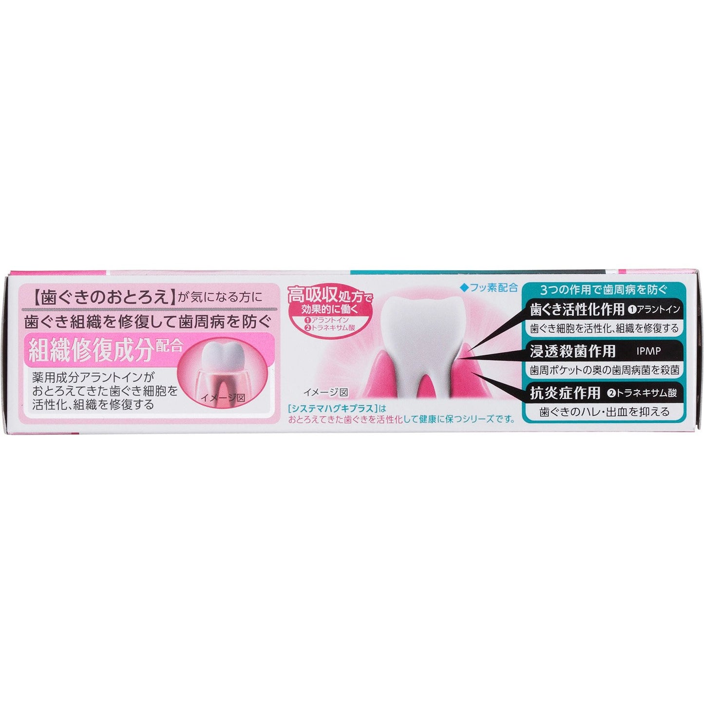 システマハグキプラスハミガキ９０Ｇ 容量90G ライオン 歯磨き - MONOW 公式ショップ