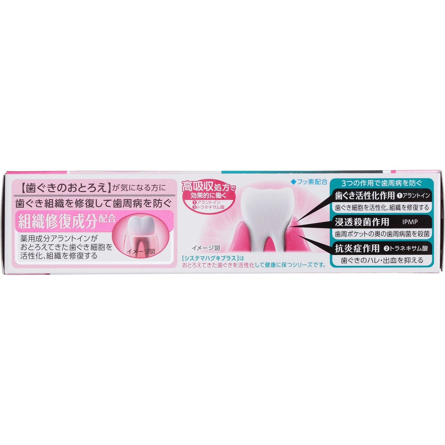 システマハグキプラスハミガキ９０Ｇ 容量90G ライオン 歯磨き - MONOW 公式ショップ