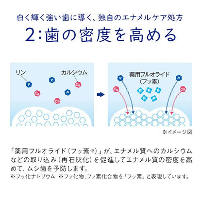 キシリデントライオンこども６０ｇ 容量60G ライオン 歯磨き - MONOW 公式ショップ